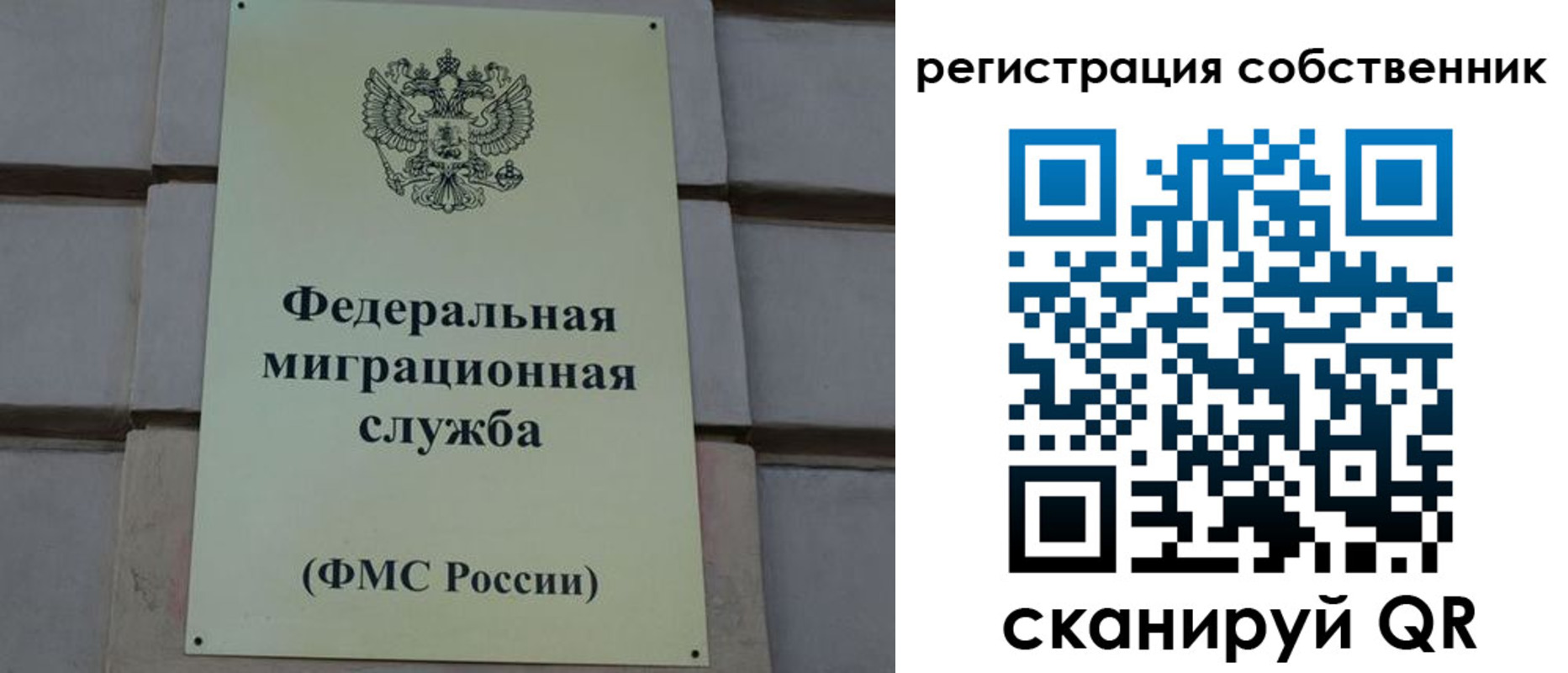 прописка гарантия в Камчатской области